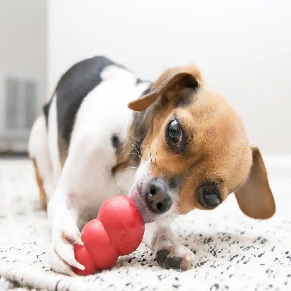 Classic Dog Toy 2x-large