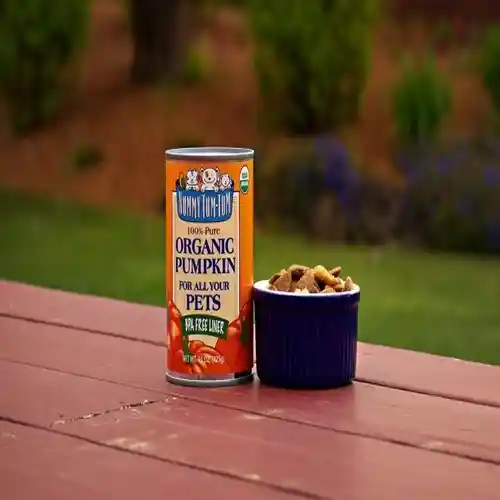 Nummy Tum Tum Organic Canned Pumpkin Dog 15 Oz