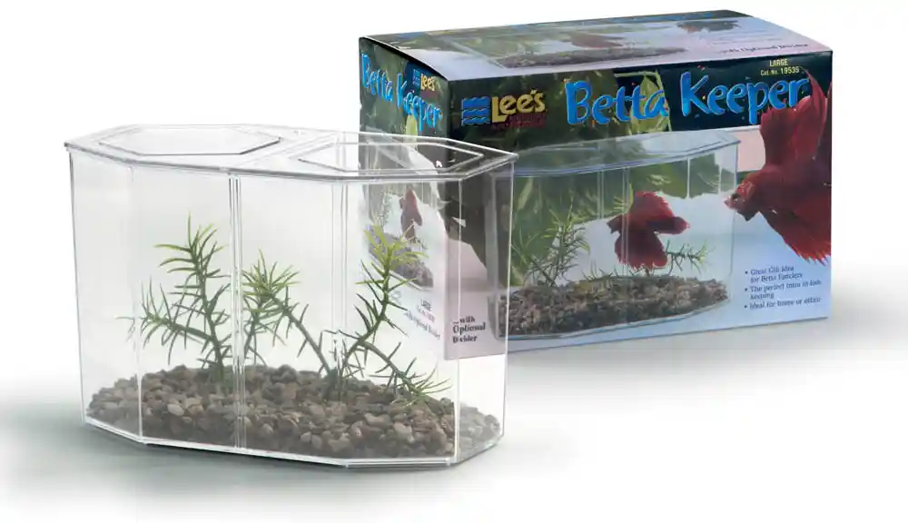 Lee Dual Betta Hex Tank Kit
