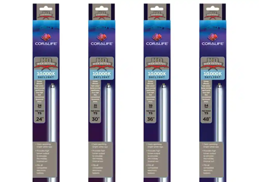 Coralife T5 High Output 31 Watt Lamp 30 Inch