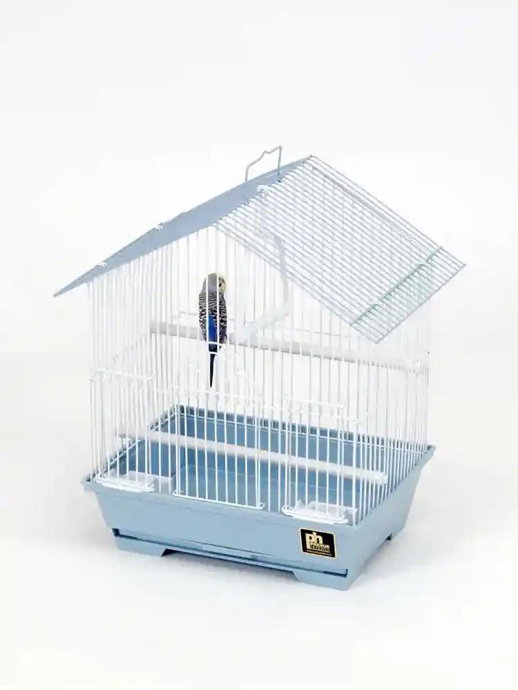 House Style Roof Keet Cage Box