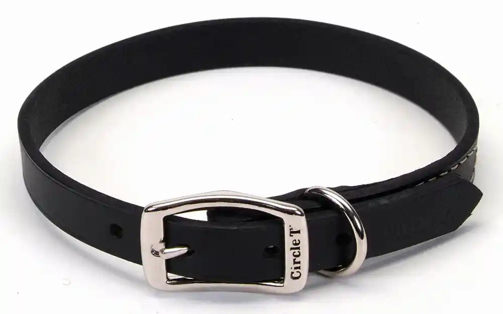Oak Tanned Leather Town Dog Collar, Black, 3/4" X 20"