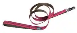 Reflective Dog Leash With Scissor Snap, Campfire Orange, 5/8" X 6'