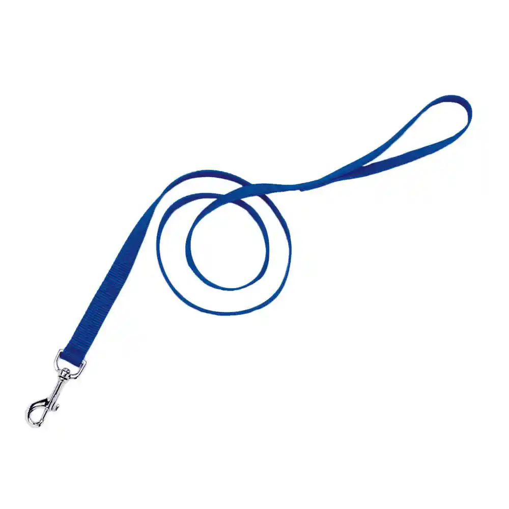 Single-ply Dog Leash, Blue, 1" X 06'