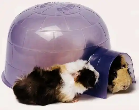 Superpet Pet Igloo For Small Animal Large