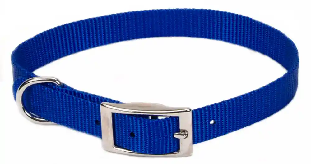 Single-ply Dog Collar, Blue, 5/8" X 14"
