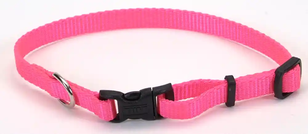 Adjustable Dog Collar With Plastic Buckle, Neon Pink, 3/8" X 8"-12"