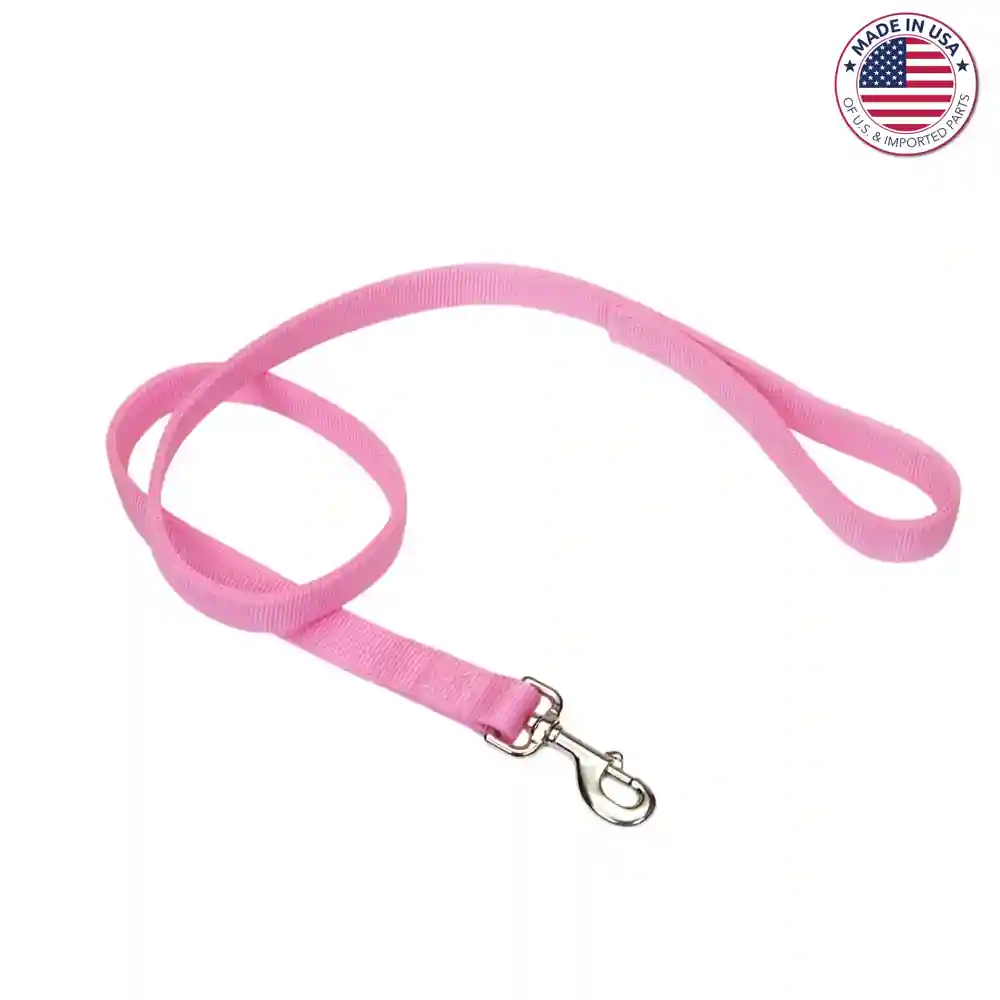 Coastal Double-ply Nylon Dog Leash Pink Bright 1" X 4'