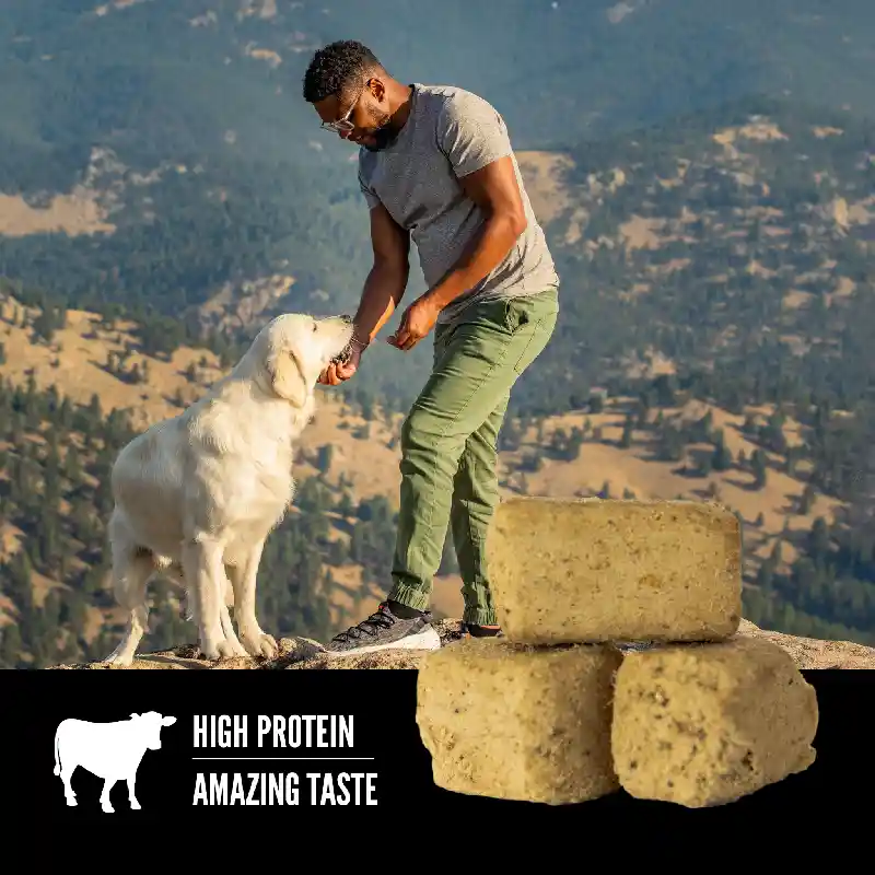 Or Dog Trt-angus Beef 3.25 Oz
