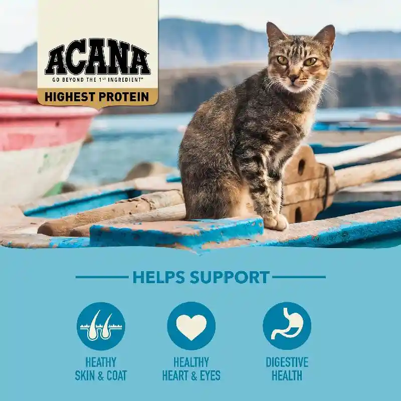 Acana Wild Atlantic Grain-free Dry Cat Food 10-lb