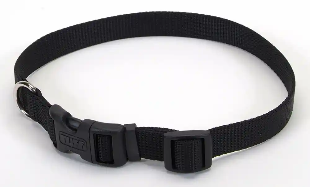 Adjustable Dog Collar With Plastic Buckle, Black, 5/8" X 10"-14"