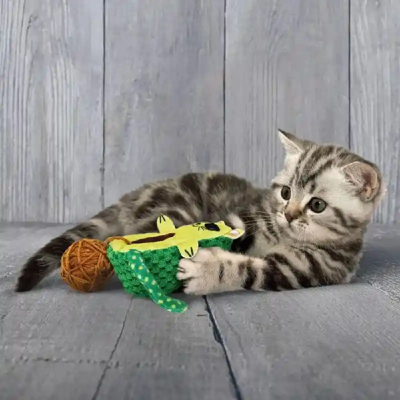 Kong Cat Wrangler Avocado