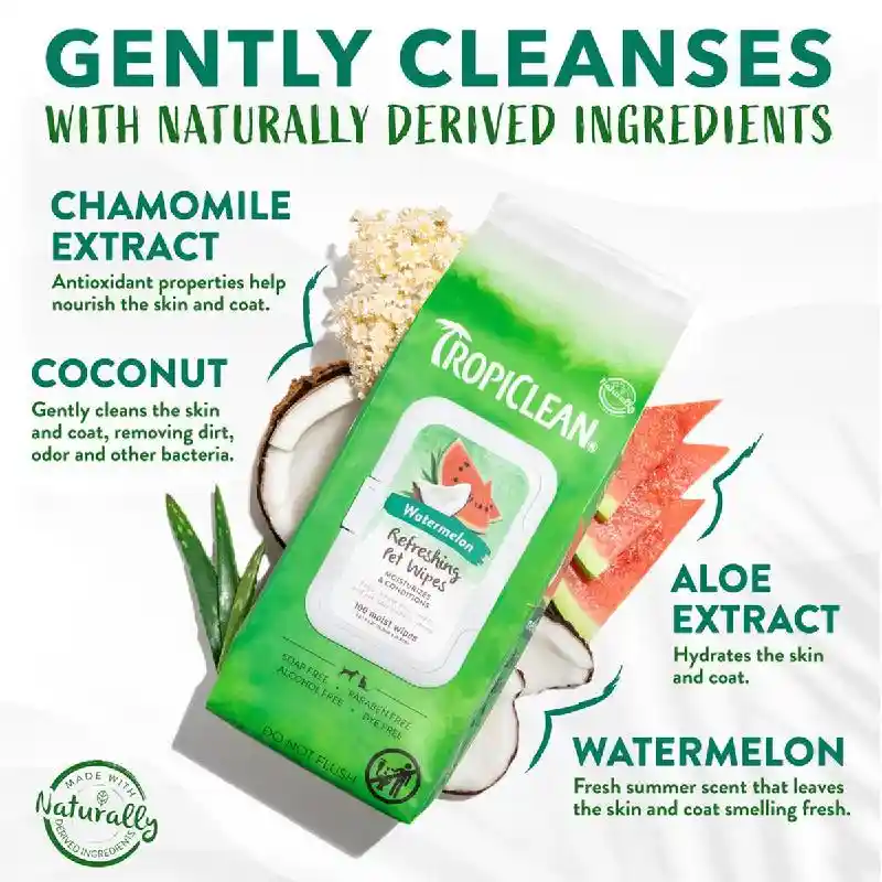 Watermelon 2 In 1 Wipes - 100 Ct