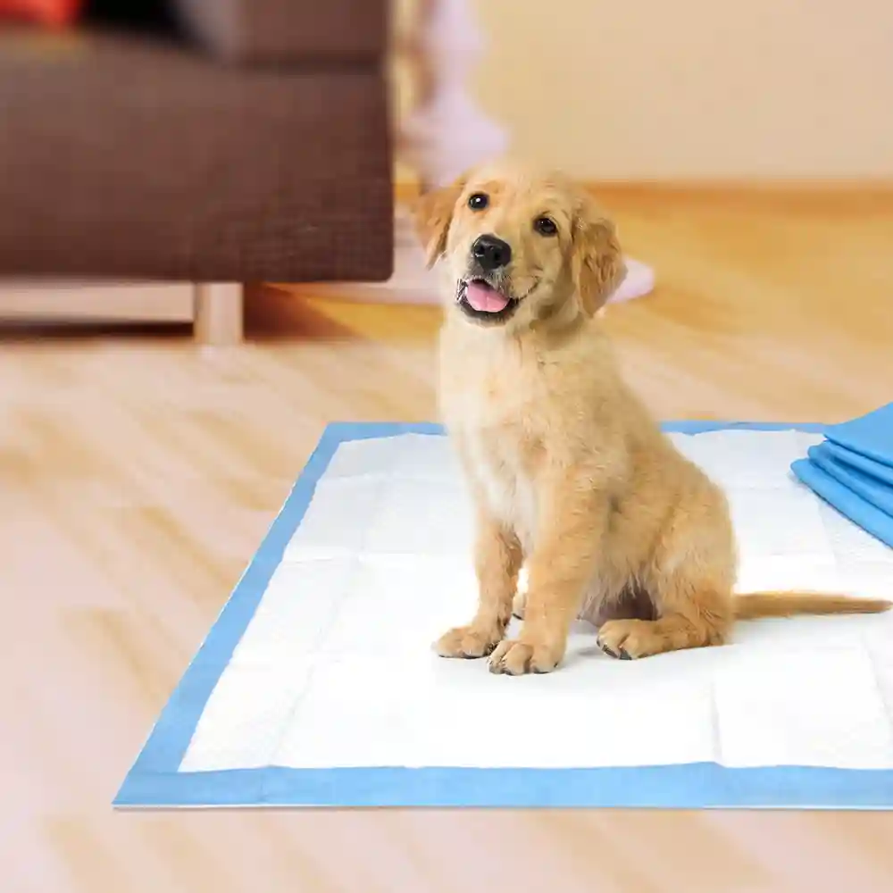 Wee-wee Absorbent Dog Pads 14-ct