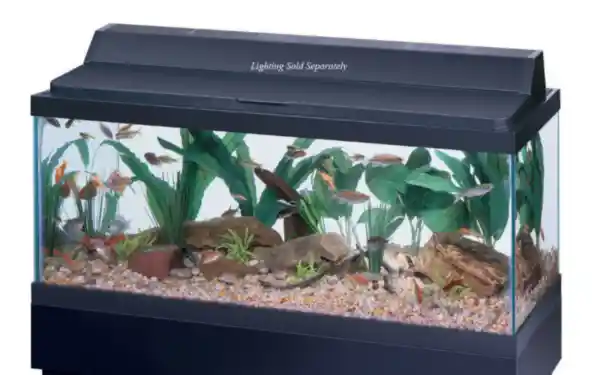 Aga 20 Gallon Long Black Trim Aquarium 30x12x12"