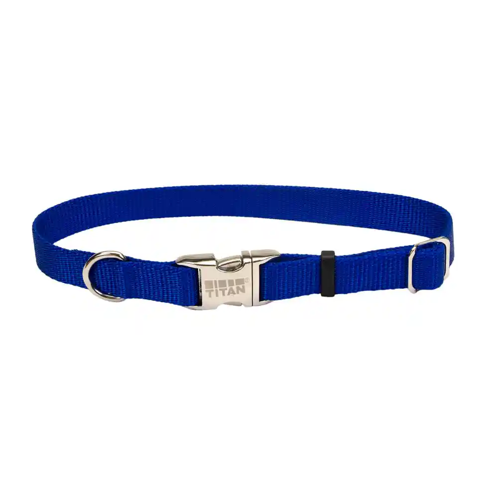 Adjustable Dog Collar With Metal Buckle, Blue, 1" X 18" - 26"