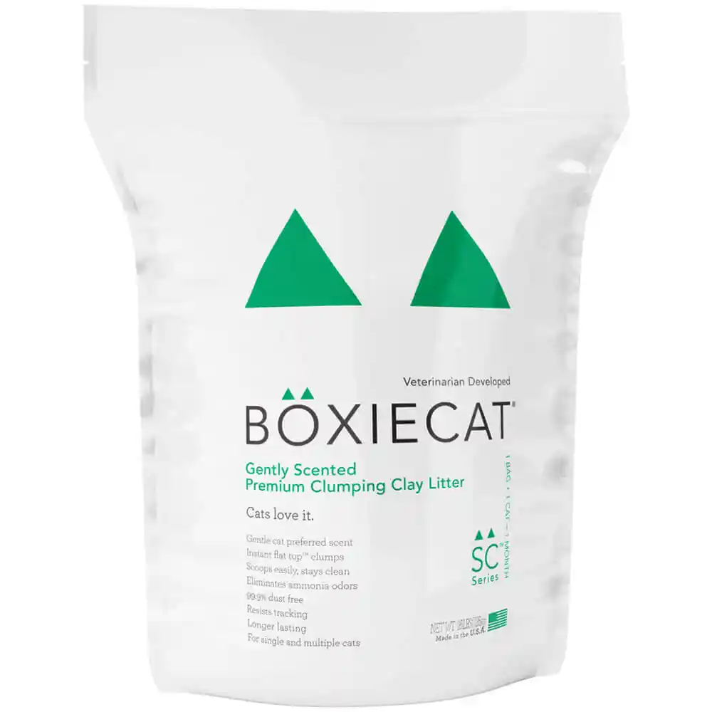 Boxie C Gently Scnt Prm 16#