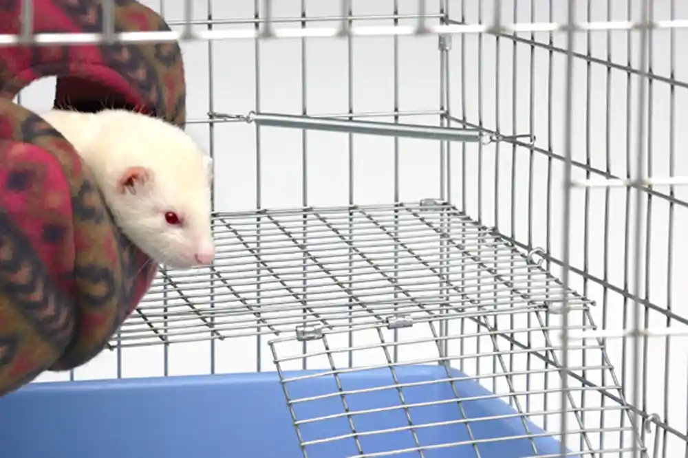 Deterrent Ferret Corner 4 Pack