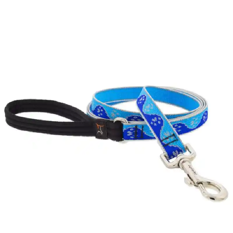 3/4" Blue Paws Leash 6 Foot
