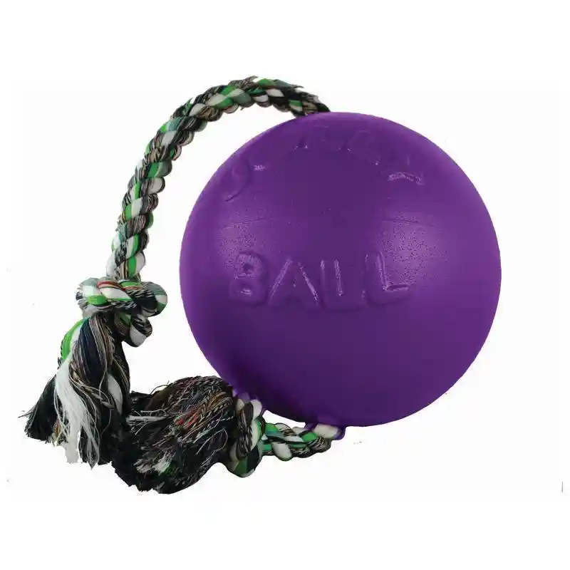 Romp N Roll 4.5" Ball Purple