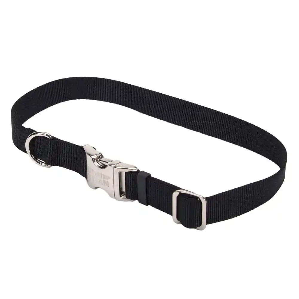 Adjustable Dog Collar With Metal Buckle, Black, 3/4" X 14" - 20"