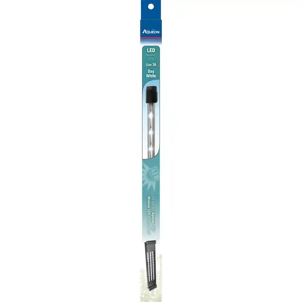 Aqueaon Bulb Led Day White Sz 36"