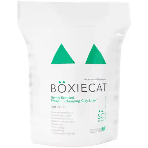 Boxie C Gently Scnt Prm 16#