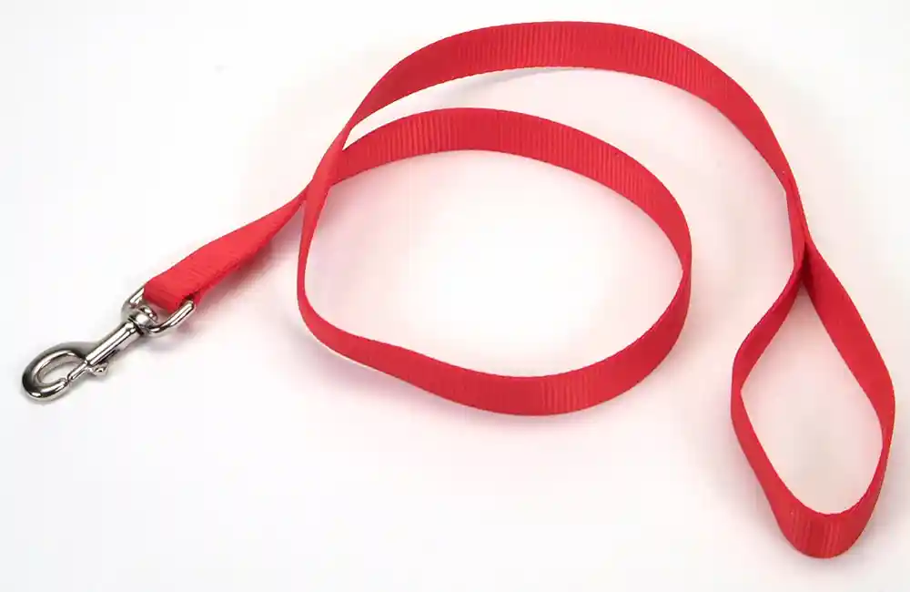 Single-ply Dog Leash, Red, 1" X 06'