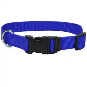 Adjustable Dog Collar With Plastic Buckle, Blue, 3/4" X 14"-20"