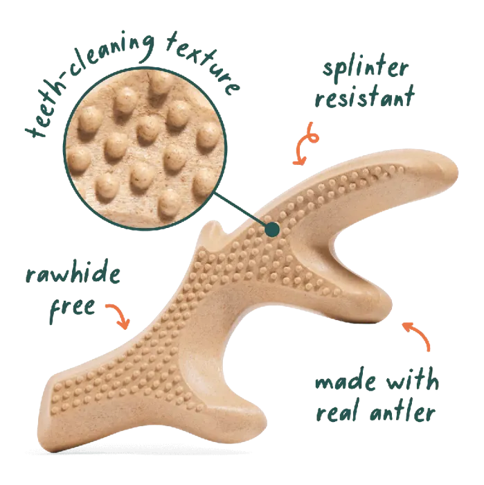 Woof Dog Toy Honestchew Antler Medium