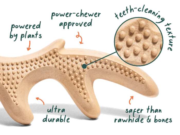 Woof Dog Toy Honestchew Antler Medium