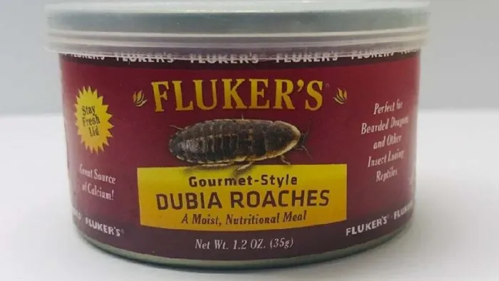 Fluker's Gourmet-style Canned Dubia Roaches