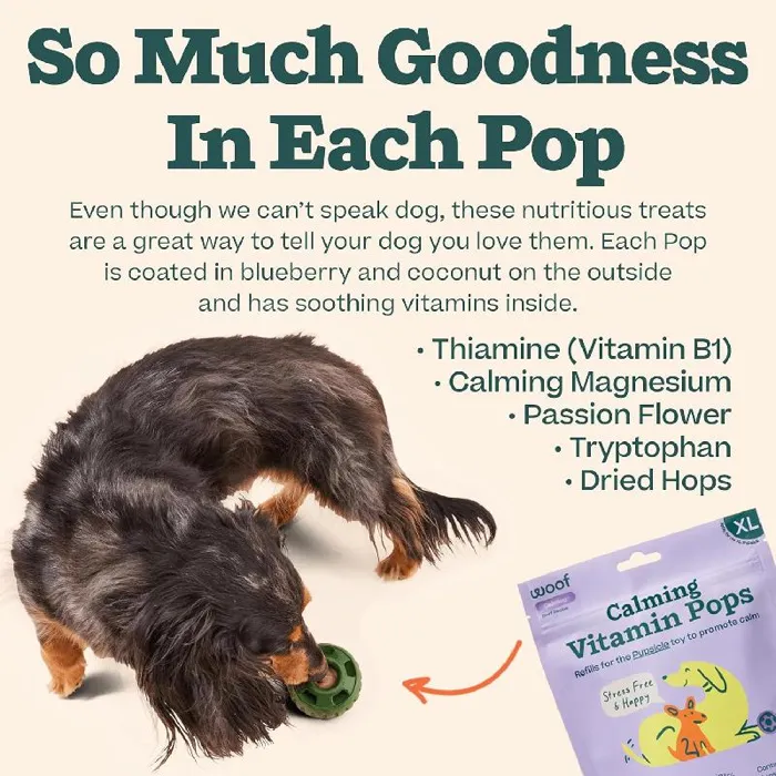 Woof Pupsicle Calming Beef Pops Lg
