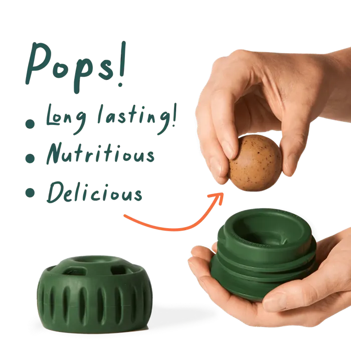 Woof Large Pop Treat Chicken Peanut Butter 9-oz