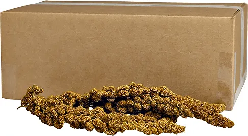 Kaytee Gold Millet Spray Bulk 125 Count
