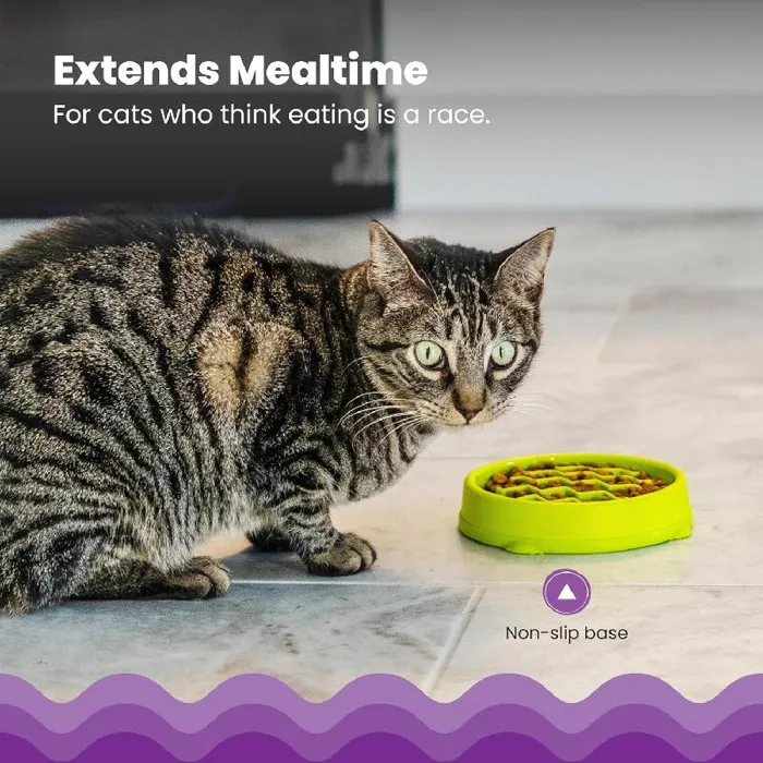 Kitty Slow Feeder Green Cat
