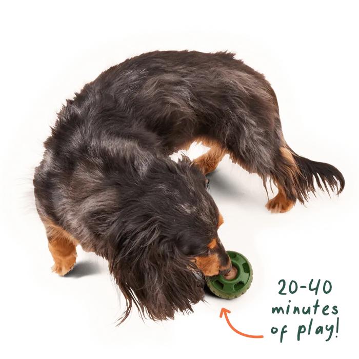 Woof Small Pops Beef Calming 6.5-oz
