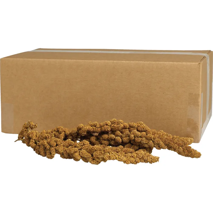 Kaytee Gold Millet Spray Bulk 125 Count
