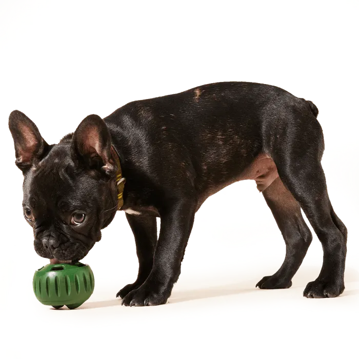 Woof Large Pop Treat Chicken Peanut Butter 9-oz