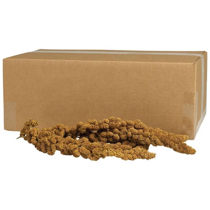 Kaytee Gold Millet Spray Bulk 125 Count