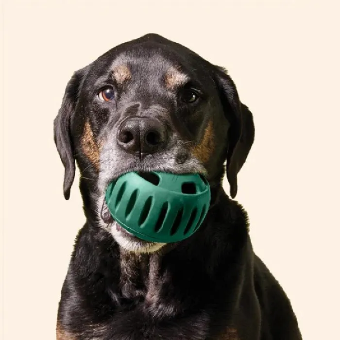 Woof Dog Toy Pupsicle Green Large